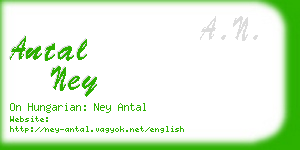 antal ney business card